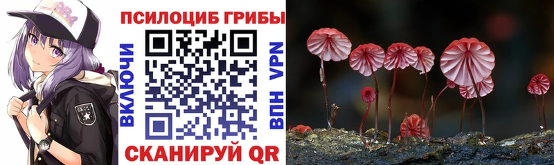 Псилоцибиновые грибы Psilocybine cubensis  MEGA как зайти  Гурьевск 